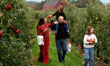Enjoy the tasty journey through our orchards massachusetts
