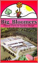 We are a one-stop shopping garden store and greenhouse located in cenral North Carolina. When you visit us, expect to find one of the largest selection of perennials, herbs and annuals in the southeast United States.