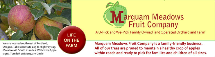 Marquam Meadows Fruit Company is a family owned and operated orchard and farm. We are a family-friendly farm that offers U-Pick and We-Pick apples