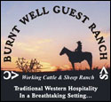 Burnt Well Guest Ranch is a small, family-owned and operated ranch in the warm, sunny climate of New Mexico
