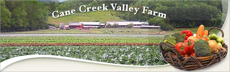 purchased the farm in 1903 and grew organic vegetables that he sold locally and to surrounding communities. 